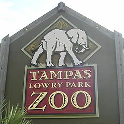 lowry park zoo