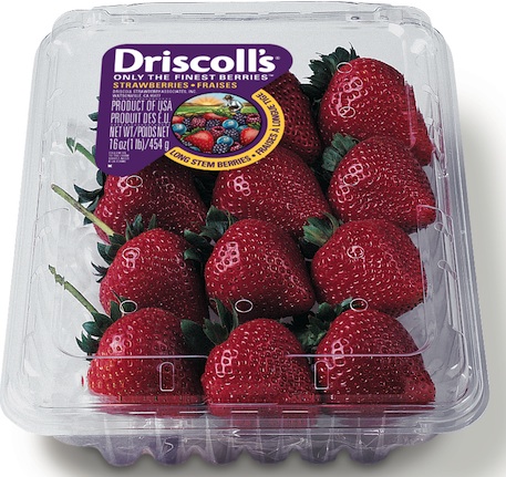 driscoll's berries