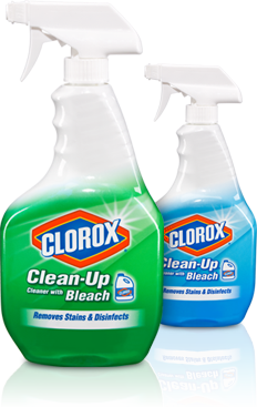 clorox clean-up