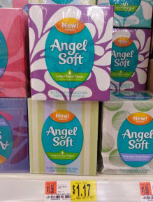 angel-soft-coupon-2013