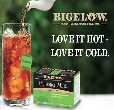 free-bigelow-tea-sample