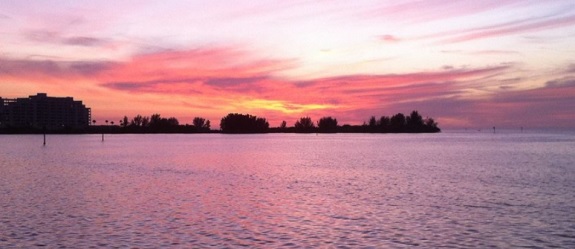 addicted-to-saving-tampa-banner