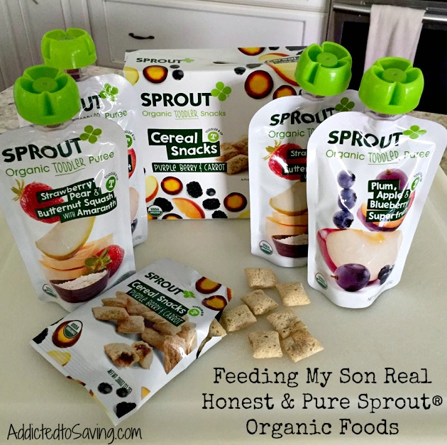 sprout-banner