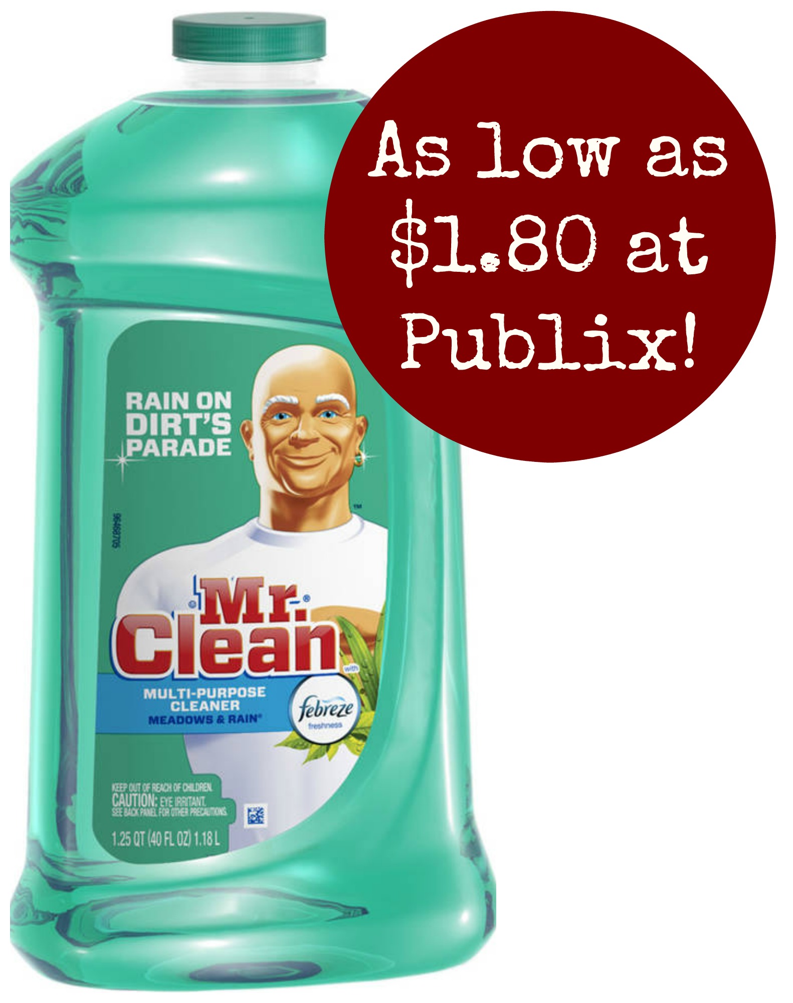mr. clean all purpose cleaner publix