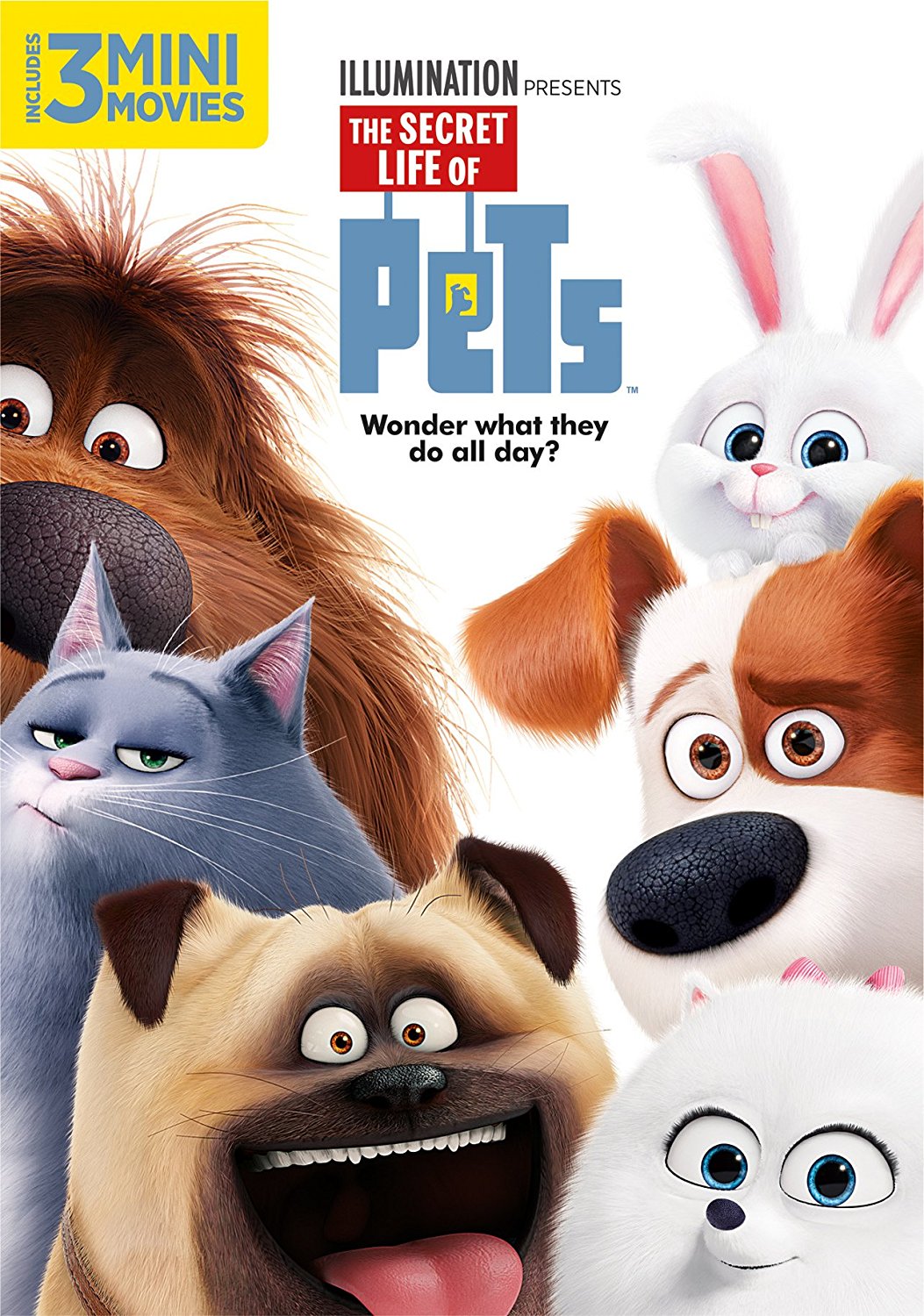 The Secret Life of Pets on DVD