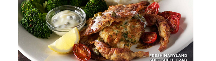 Bonefish Grill Coupon