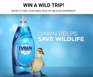 3 Uses for Dawn That Don't Involve Washing Dishes (plus Giveaway ...