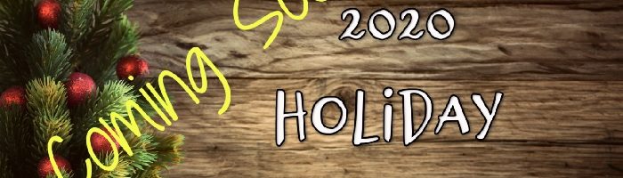 Coming Soon! Holiday Gift Guide