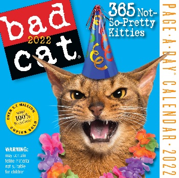 Bad Cat Page-A-Day Calendar 2023: 365 Not So-Pretty Kitties